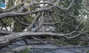 Volta a chover em São Paulo e número de pessoas sem luz aumenta